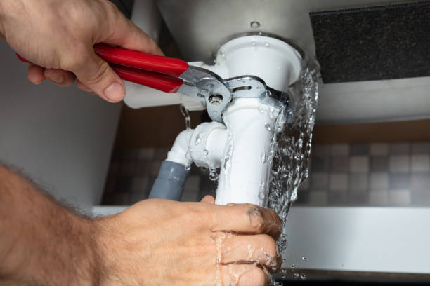Best Professional water damage repair  in Donora, PA