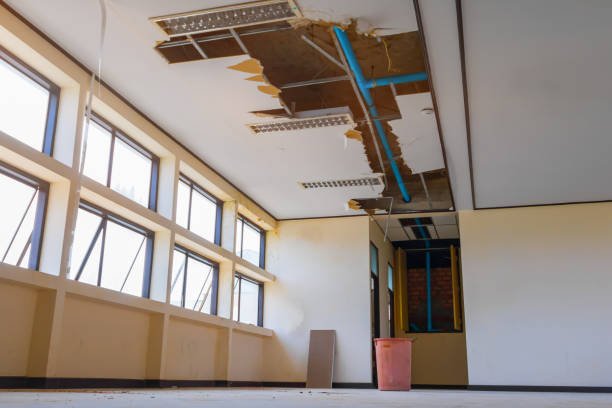 Best Ceiling water damage repair  in Donora, PA