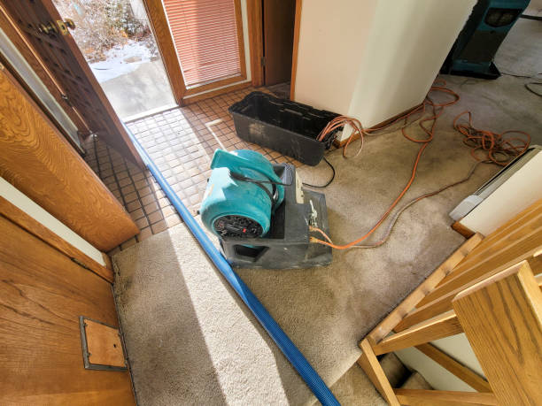Best Sewage cleanup and water damage restoration  in Donora, PA