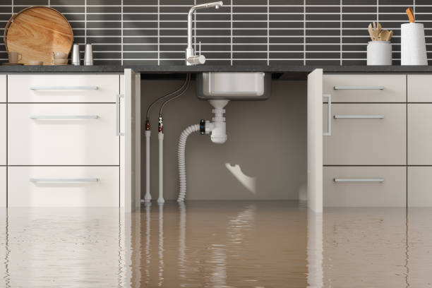 Best Water damage restoration near me  in Donora, PA