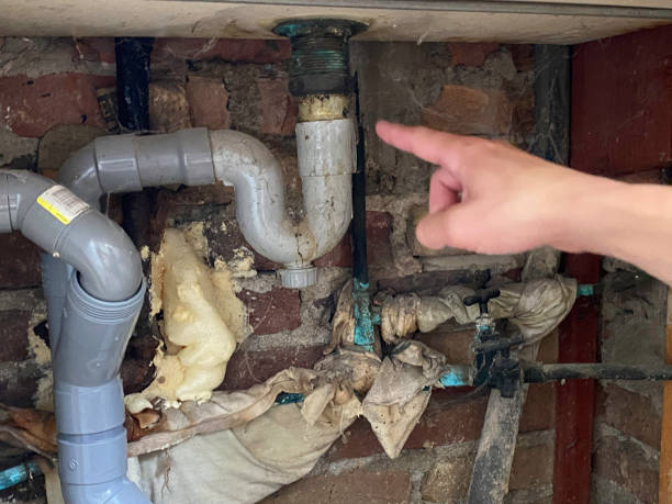Best Flooded house restoration  in Donora, PA