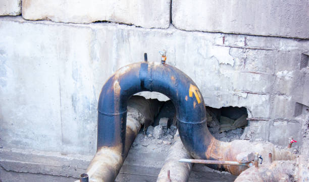 Best Carpet water damage restoration  in Donora, PA