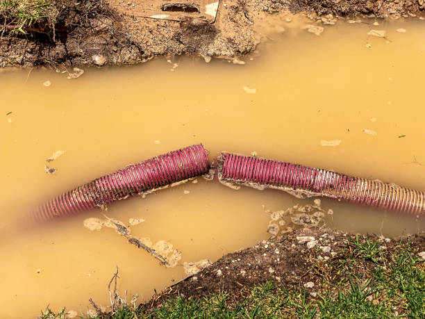 Water damage restoration process in Donora, PA