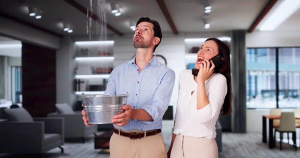 Water damage restoration mold remediation in Donora, PA
