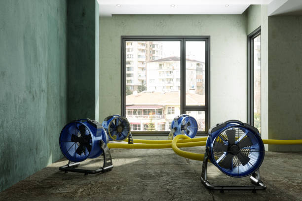 Local water damage restoration in Donora, PA