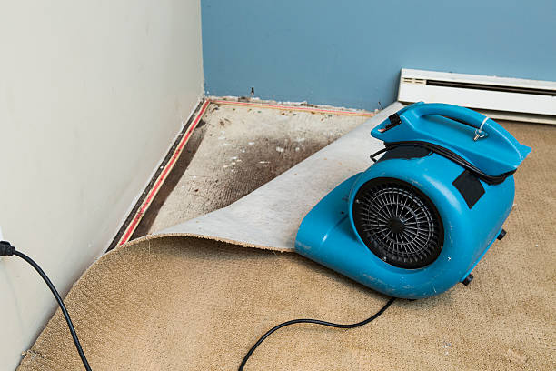 Best Sewage cleanup and water damage restoration  in Donora, PA